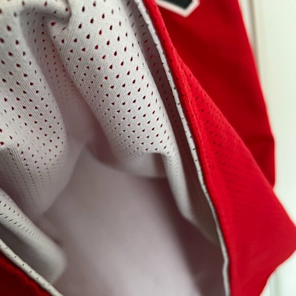 Chicago Bulls Jursey - Picture 4 of 4